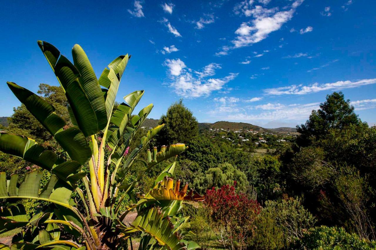 Private Room In Ambiente Guest House Knysna Exterior foto
